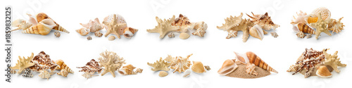 Collage of sea shells and s...