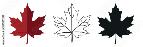 The classic maple leaf, a national symbol of Canada. Vector set includes a detailed line art version, a black silhouette, and a shaded red color version.