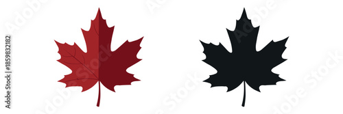 The classic maple leaf, a national symbol of Canada. Vector set includes a detailed line art version, a black silhouette, and a shaded red color version.