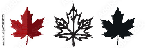 The classic maple leaf, a national symbol of Canada. Vector set includes a detailed line art version, a black silhouette, and a shaded red color version.