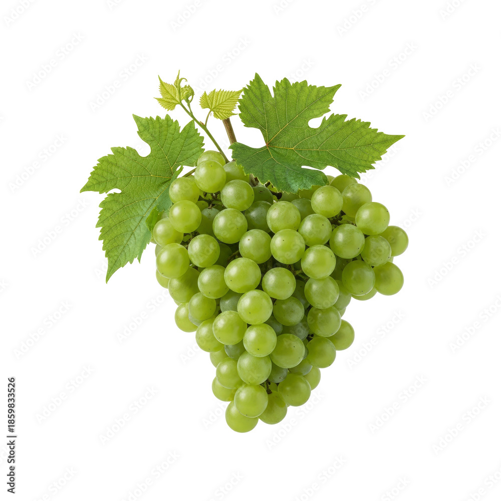 Fototapeta premium Fresh green grapes with leaves