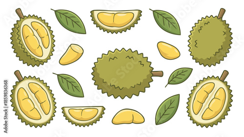 Durian Fruit Illustration Set with Whole Fruit and Slices