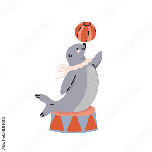 A cute cartoon seal sitting on a circus podium, balancing a red ball on its nose. A whimsical animal show illustration for children's designs. Flat style.