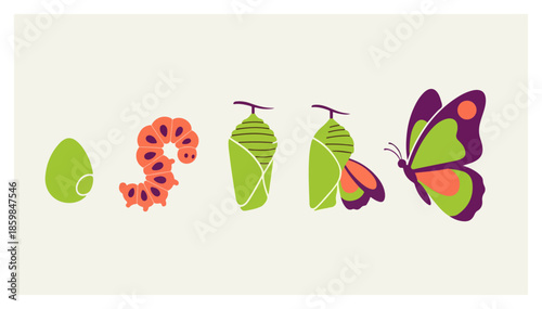 Colorful butterfly illustration with vibrant wings.