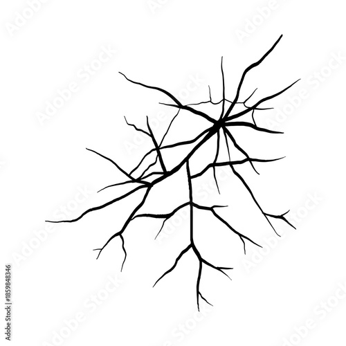 Abstract silhouette of cracked texture pattern.