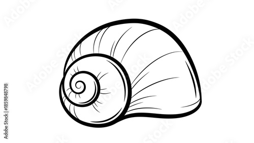 Striking black and white illustration of a spiraling nautilus shell on a clean white background