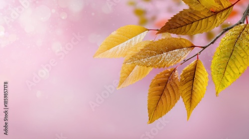 Autumn Leaves on Branch Against Soft Pink Background with Sparkles and Bokeh Effect for Seasonal Aesthetic and Nature Themes