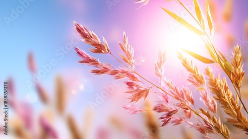Gentle Breeze Through Grassy Fields with Beautiful Sunlight and Soft Pink Flowers Illuminating Nature's Serenity