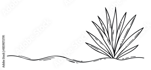 A simple black outline drawing depicting a succulent plant with spiky leaves growing from a wavy ground line, perfect for natureinspired graphics, minimalist decor, or print applications.