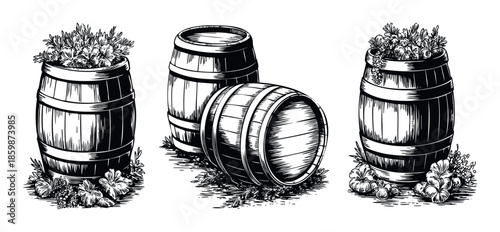 Rustic wooden barrels filled with blooming flowers and fresh harvest produce, perfect for vintage agricultural themes or beverage related advertisements and craft designs.