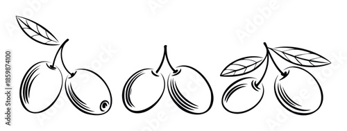 Stylized black and white olive outlines with leaves are perfect for Mediterranean cuisine branding, healthy food labels, organic product packaging, or agricultural industry promotions.