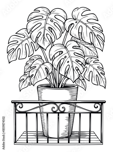 Monstera deliciosa plant in a decorative pot on an ornate balcony railing line art drawing ideal for botanical home decor or tropical garden enthusiasts