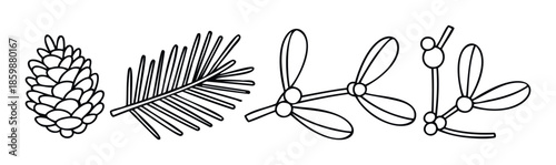 Hand drawn pine cone, conifer branch, and mistletoe illustrations for Christmas decoration, winter holiday graphics, seasonal greeting material, or rustic nature designs.