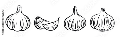 Collection of handdrawn garlic bulbs and individual cloves perfect for culinary applications, kitchenthemed graphic designs, food packaging, and healthy eating promotions.