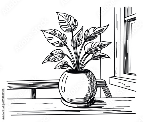 A black and white sketch of a houseplant in a round pot sitting on a table next to a window, suitable for interior decoration themes and botanicalinspired marketing materials.