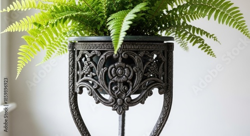 A vibrant fern spills over an ornate, dark metal plant stand. The detailed design is classic, creating a contrasting texture against the light background. The leaves are a bright, healthy green