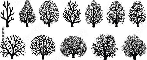 Set of hand drawn underwater coral silhouettes, organic ocean sea fan icons, marine botanical seaweed plant elements, nature logo design, coastal reef decor,