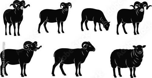 Set of ram and sheep silhouettes, male bighorn sheep with horns, farm animal livestock icons, agriculture nature elements for wool industry logo,