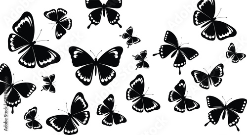 Elegant black butterfly silhouettes with decorative wing patterns, flying insect collection vector set, nature graphic artwork on white background