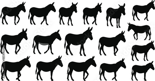 Collection of black donkey silhouettes in various poses and walking positions, farm animal vector set for design and illustration