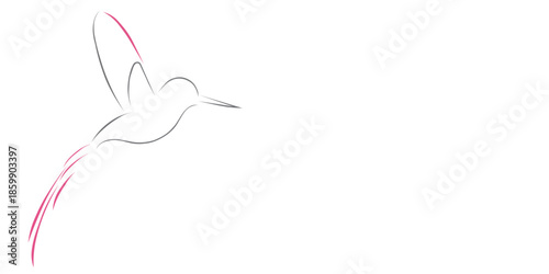 minimalism abstract modern logo design line art drawing vector bird fly animal wildlife  outline graphic design hummingbird sketch