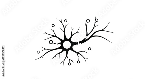 Abstract illustration of a neuron with branching dendrites and synapses