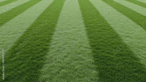 Viintimate apparelnt green lawn with perfectly manicured stripes, suggesting a well-maintained sports field or park.