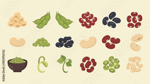 様々な種類の豆のイラスト集：大豆、枝豆、インゲン豆、黒豆、小豆、レンズ豆、ひよこ豆、そら豆、カシューナッツなど.