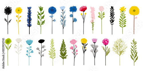 Conjunto de ilustraciones botánicas minimalistas de flores y plantas estilizadas con fondo transparente.