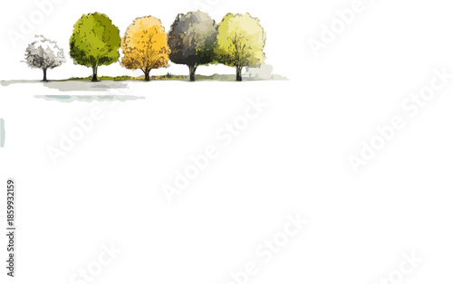 Cinque alberi stilizzati con chiome di diversi colori stagionali su sfondo bianco trasparente.