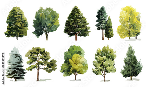 Illustrazione ad acquerello di diverse specie di alberi verdi e gialli isolati su sfondo trasparente.