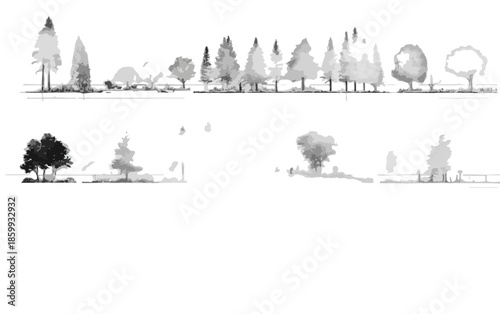 다양한 종류의 나무와 숲의 흑백 스케치 일러스트레이션, 투명한 배경에 자연의 아름다움을 담았습니다.