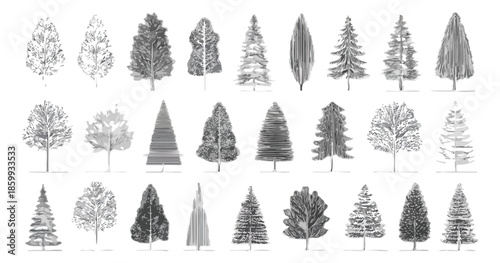 다양한 종류의 나무 일러스트 컬렉션, 투명한 배경에 그려진 흑백 스케치 스타일