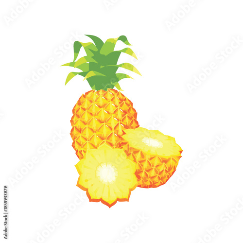 Make a Professional Pineapple Vector