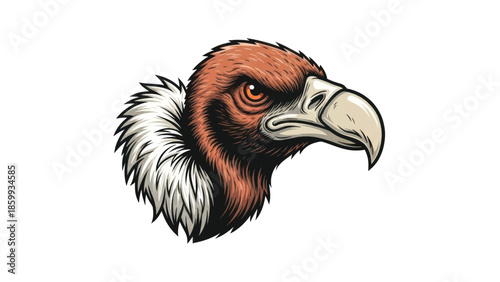 Illustrated Bird Head Profile of a Vulture with Bold Beak and Feathers.