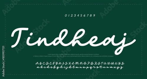 Script signature alphabet, elegant flowing letters, stylish cursive font for graceful branding, romantic headline, handwritten typography, timeless typographic design. Vector typeset