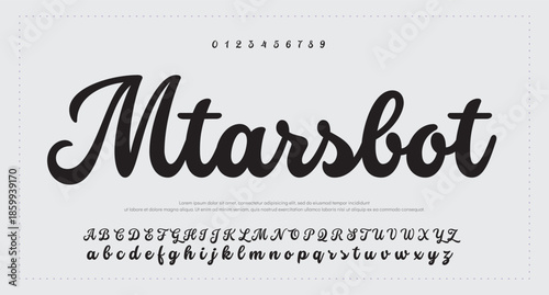 Script signature alphabet, elegant flowing letters, stylish cursive font for graceful branding, romantic headline, handwritten typography, timeless typographic design. Vector typeset