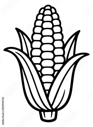 Hand drawn line art illustration of an ear of corn depicting its natural form for food and agriculture themes