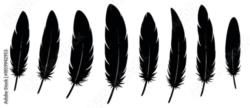 Hand drawn feather set featuring various black plume shapes for decorative design elements