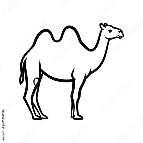 Minimalist line art camel illustration Vector