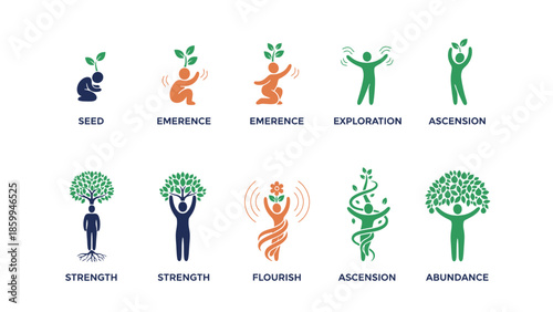Growth Stages of Human Development and Abundance.