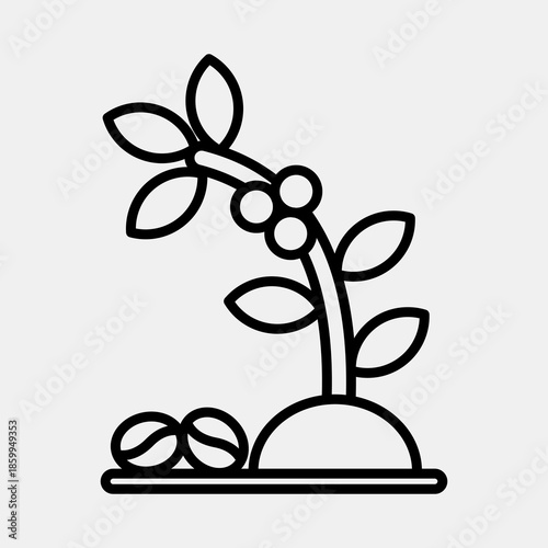 Icon coffee tree. Coffee shop elements. Icon in line style.