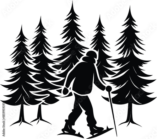 Silhouette Of A Person Snowshoeing Through A Dense Forest Of Pine Trees