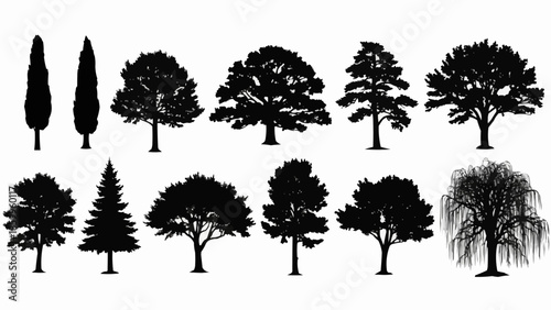 Collection of diverse tree silhouettes in black and white.