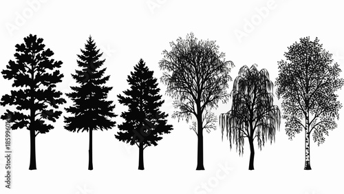 Collection of diverse tree silhouettes in black and white.