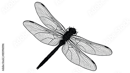 A detailed black and white silhouette of a dragonfly in mid flight