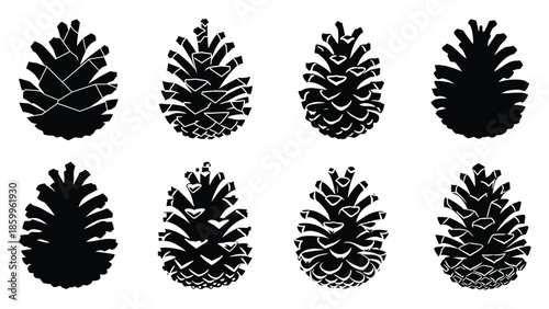 A collection of black and white pinecone illustrations in varying detail