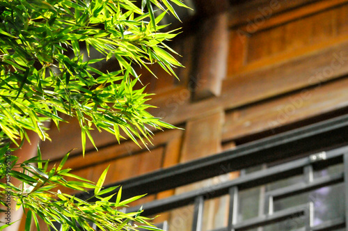 sun shining through the bamboo forest in temple