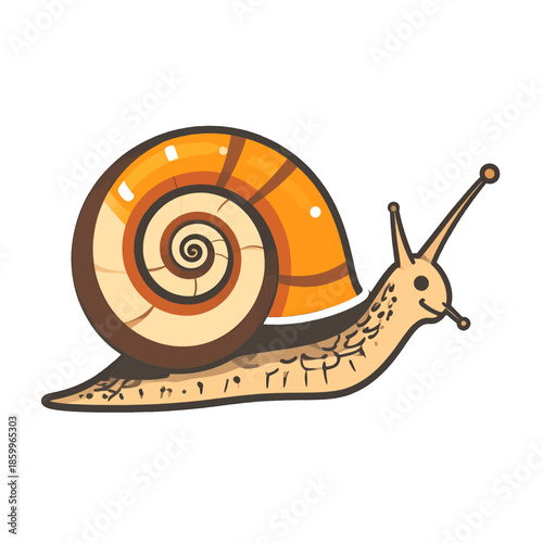 Orange and Beige Snail Illustration with Swirling Shell and Antennae on White Background