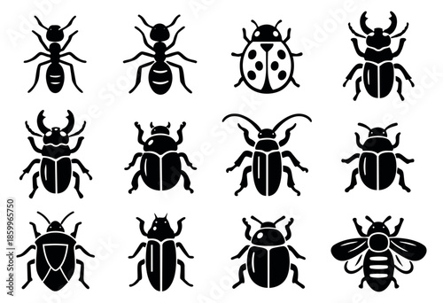 Iconic insect set featuring ants, diverse beetles, a ladybug, and a bee for nature and education